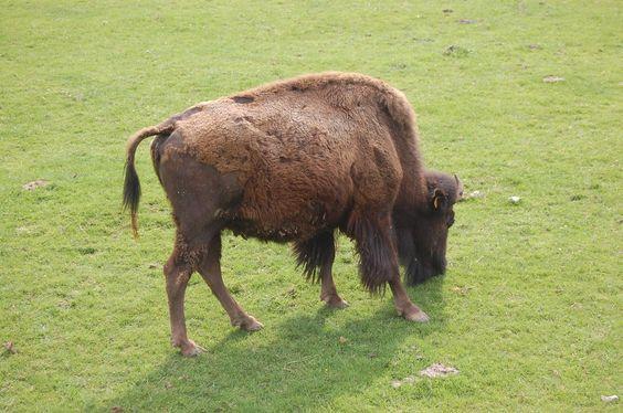 DSC_0081 [50%] [50%].JPG